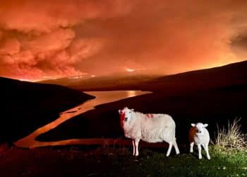 Wildfire in Wales Heat adaptation