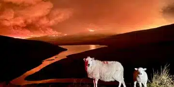 Wildfire in Wales Heat adaptation