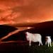 Wildfire in Wales Heat adaptation